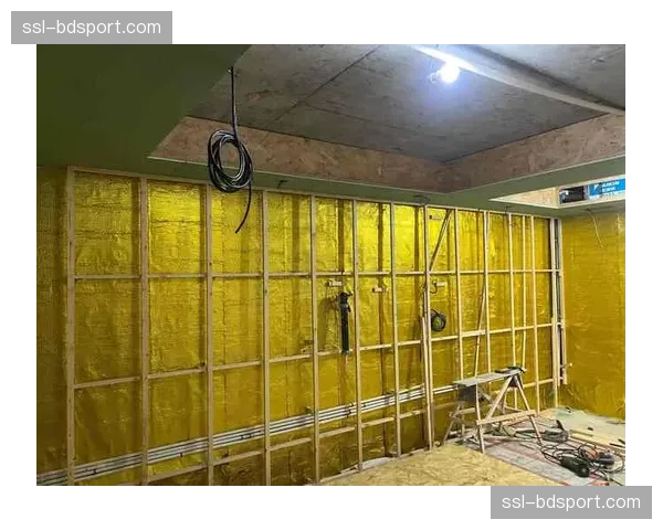 声学采集与处理技术升级 营造更具沉浸感的赛场音频环境